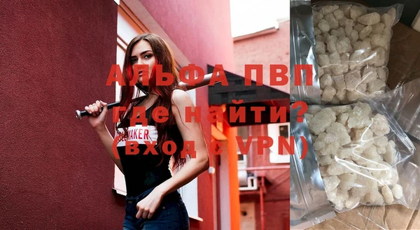 индика Осинники