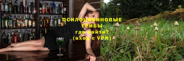 мет Пересвет