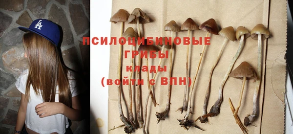 ешки Остров